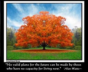 Alan Watts quote on plans for the future