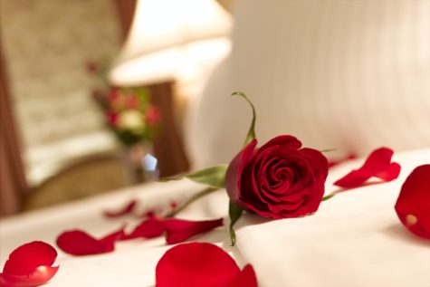 red-rose-petals-on-bed-by-brownpalace.com_