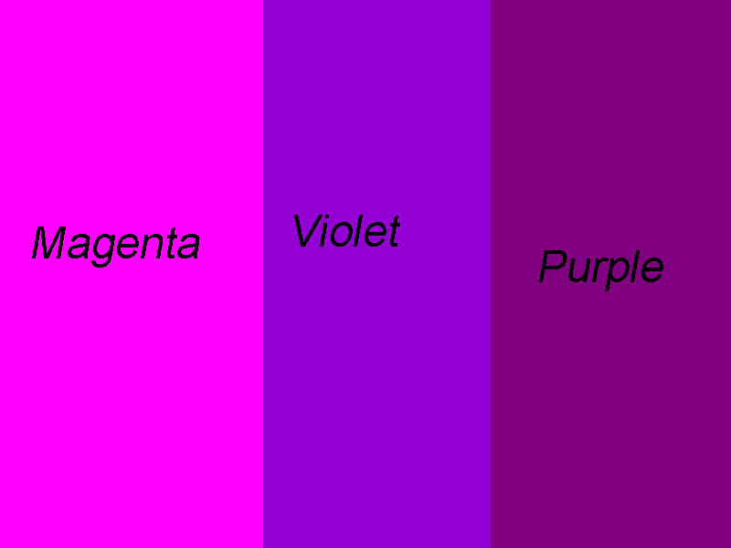Violet vs Purple.