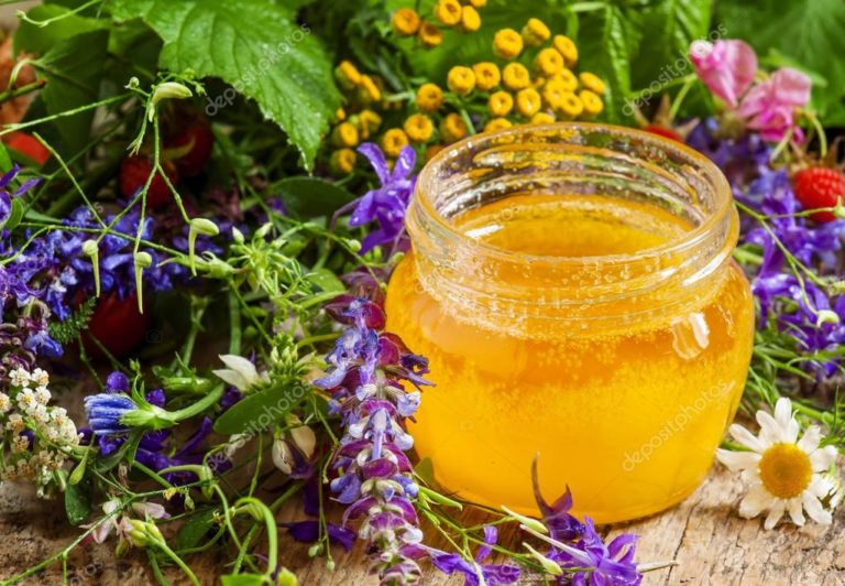 Making HerbInfused Honey Encyclopedia Of Herbology