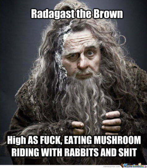 radagast-the-brown_o_1223415