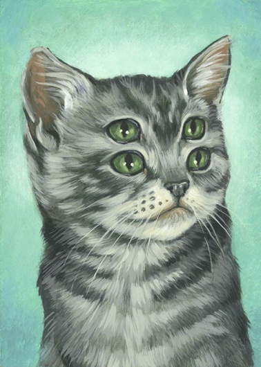 The Four Eyed Cat It s A Cat Astrophe The Four Eyed Cat It s A Cat Astrophe