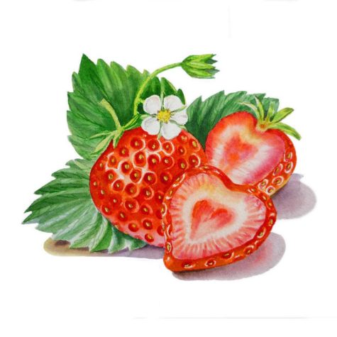 strawberry-heart-irina-sztukowski