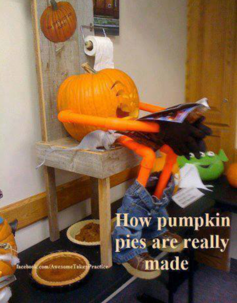how-pumpkin-pies-are-really-made