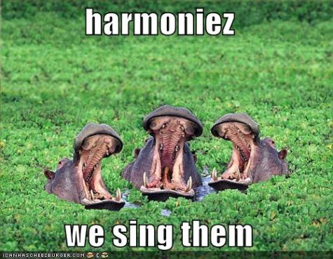 funny-pictures-hippos-sing-harmony