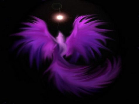 Purple_Phoenix_Wallpaper_1024x768_wallpaperhere