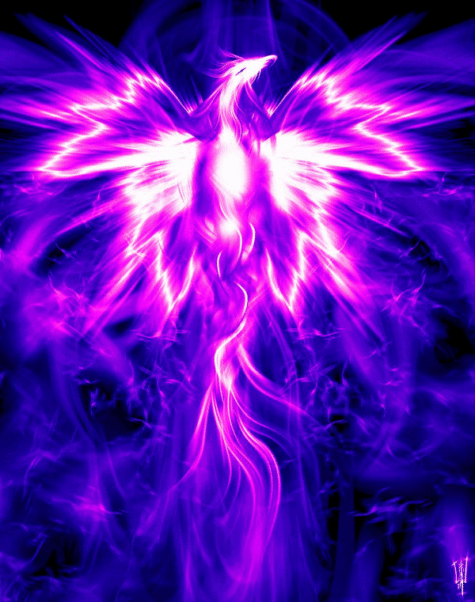 Purple_phoenix