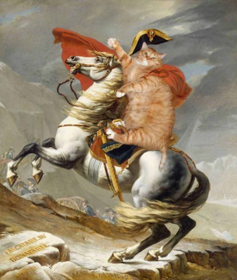 fat-cat-art-my-ginger-cat-rewrote-art-history-and-recreated-more-than-100-famous-paintings10__880