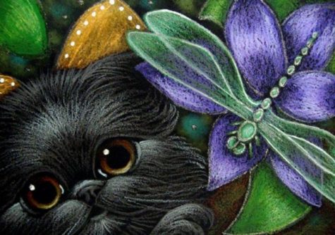 black-fairy-persian-kitten-cat-dragonfly
