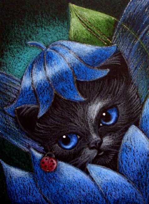 newborn-black-blue-fairy-kitten-cat