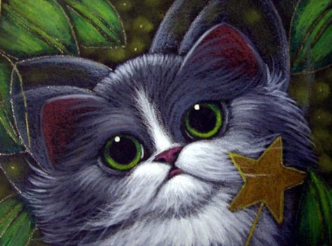 tuxedo-fairy-cat