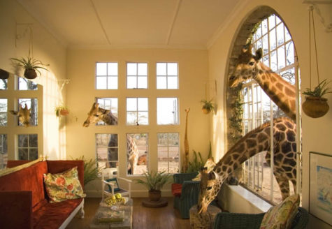 giraffe-manor-nairobi