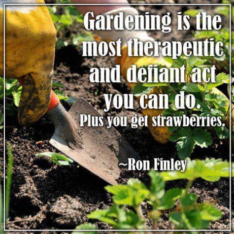 Gardening | Way Cool Quotes